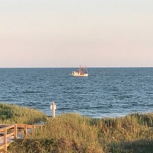 Meet your Posher, Ericka